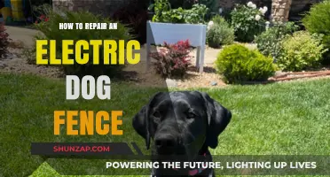 Electric Dog Fence: Quick and Easy DIY Repair Guide