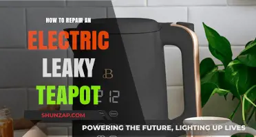 Electric Teapot Leaking? Here's a Quick Fix Guide