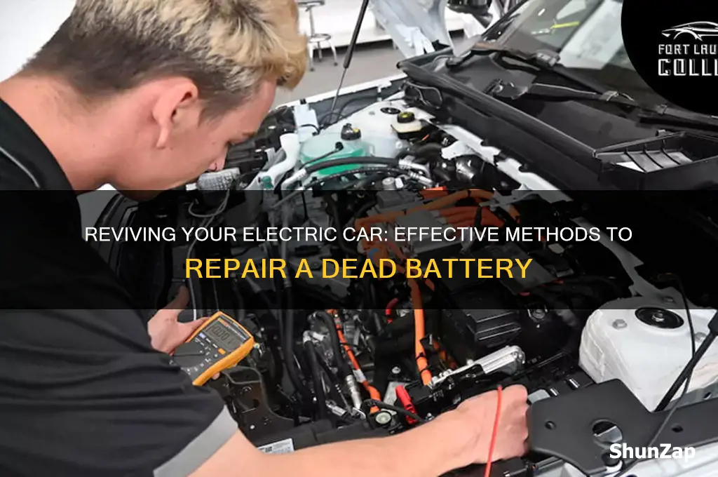 how to repair dead battery on electric car