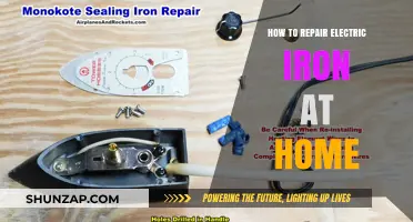 Fixing Your Electric Iron: DIY Home Repairs