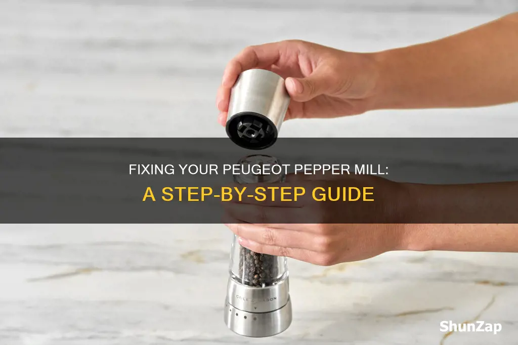 how to repair electric peugeot pepper mill