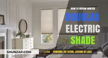 Fixing Hunter Douglas Electric Shades: DIY or Call a Pro?