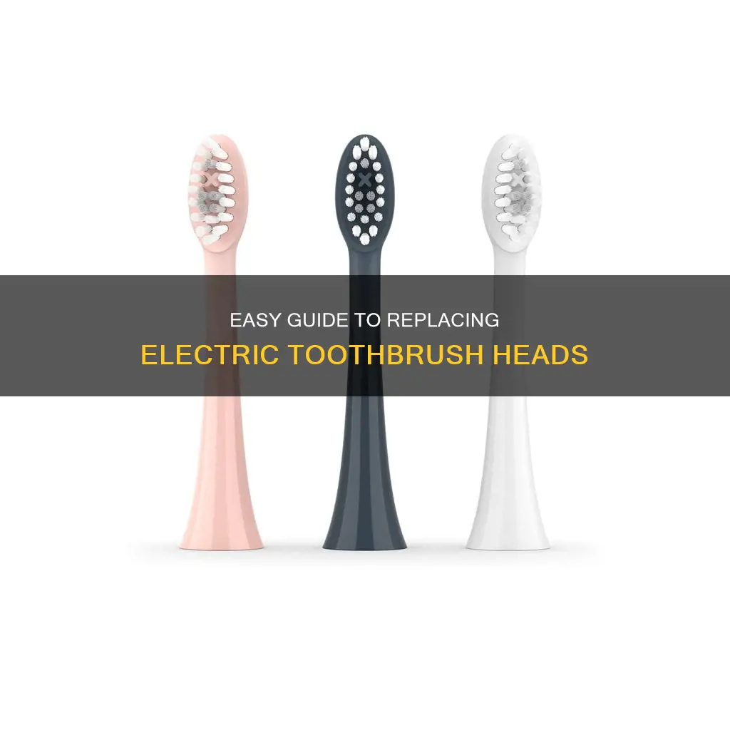 how to replace head of electric toothbrush
