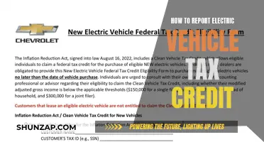 Maximize Your EV Tax Credit: A Step-by-Step Guide to Reporting