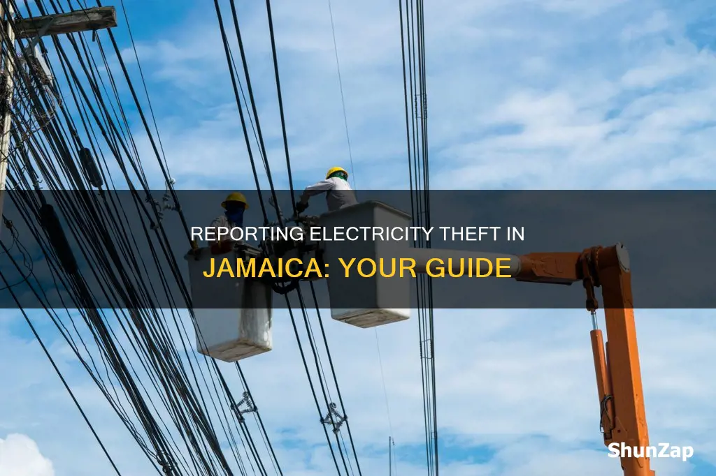 how to report electricity theft in jamaica