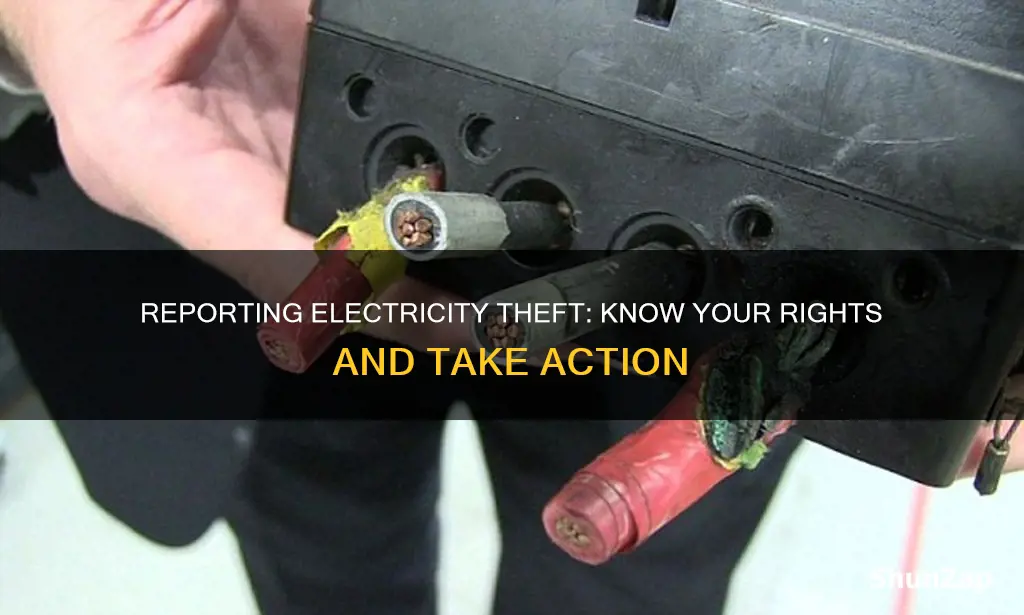 how to report someone for stealing electricity