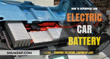 Repurposing Lion Electric Car Batteries: Sustainable Solutions for a Greener Future