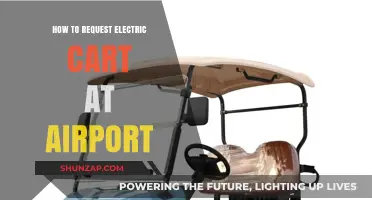 Requesting an Electric Cart: Navigating Airport Accessibility Services