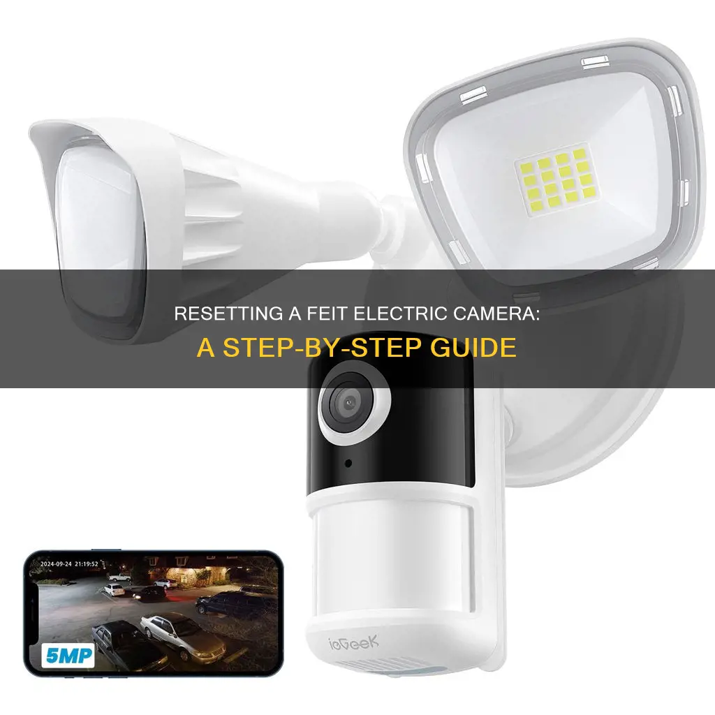 how to reset a feit electric camera