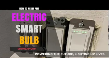 Resetting Your FEIT Electric Smart Bulb: A Quick Guide