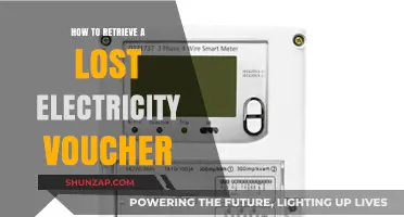 Retrieving Lost Electricity Vouchers: Quick and Easy Steps