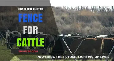 Electric Fences: Cattle Control and Setup Guide