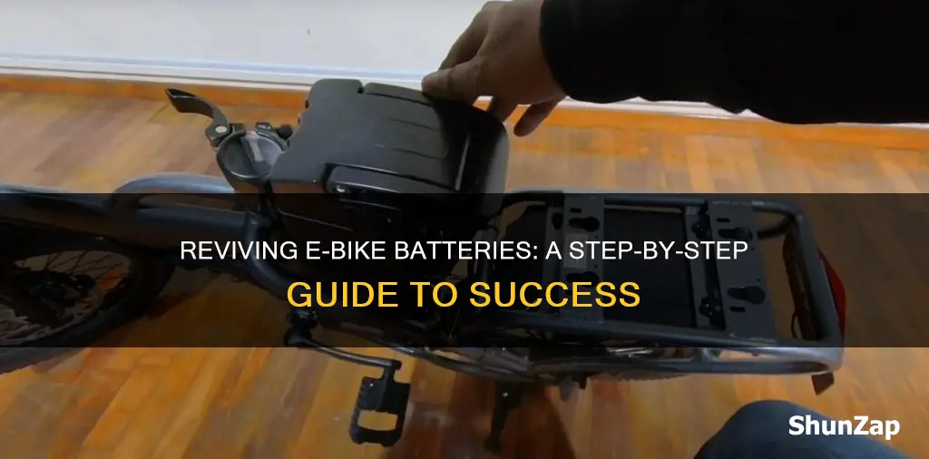 how to revive a dead electric bike battery