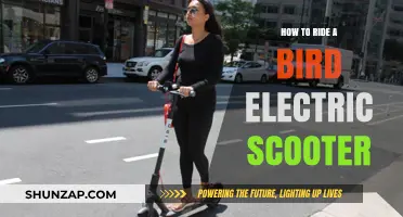 Riding a Bird Electric Scooter: A Beginner's Guide