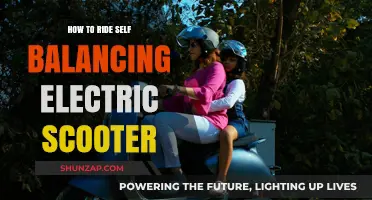 Mastering the Self-Balancing Electric Scooter: A Beginner's Guide