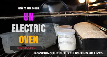 Rising Dough: Electric Oven Techniques