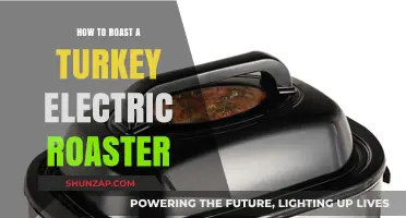 Roast Turkey with an Electric Roaster: Easy, Quick, Delicious!