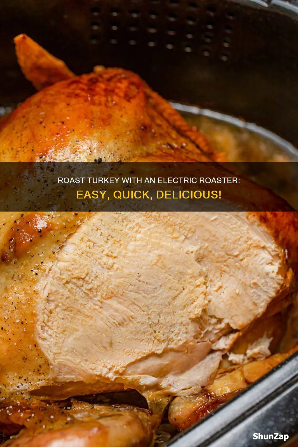 how to roast a turkey electric roaster
