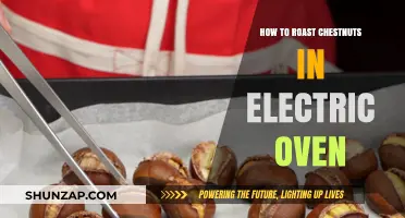 Roasting Chestnuts: Electric Oven Method
