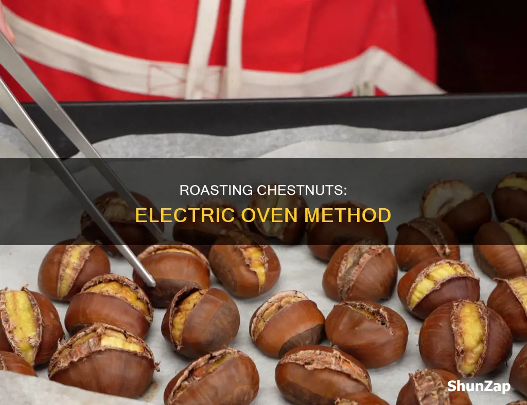 how to roast chestnuts in electric oven