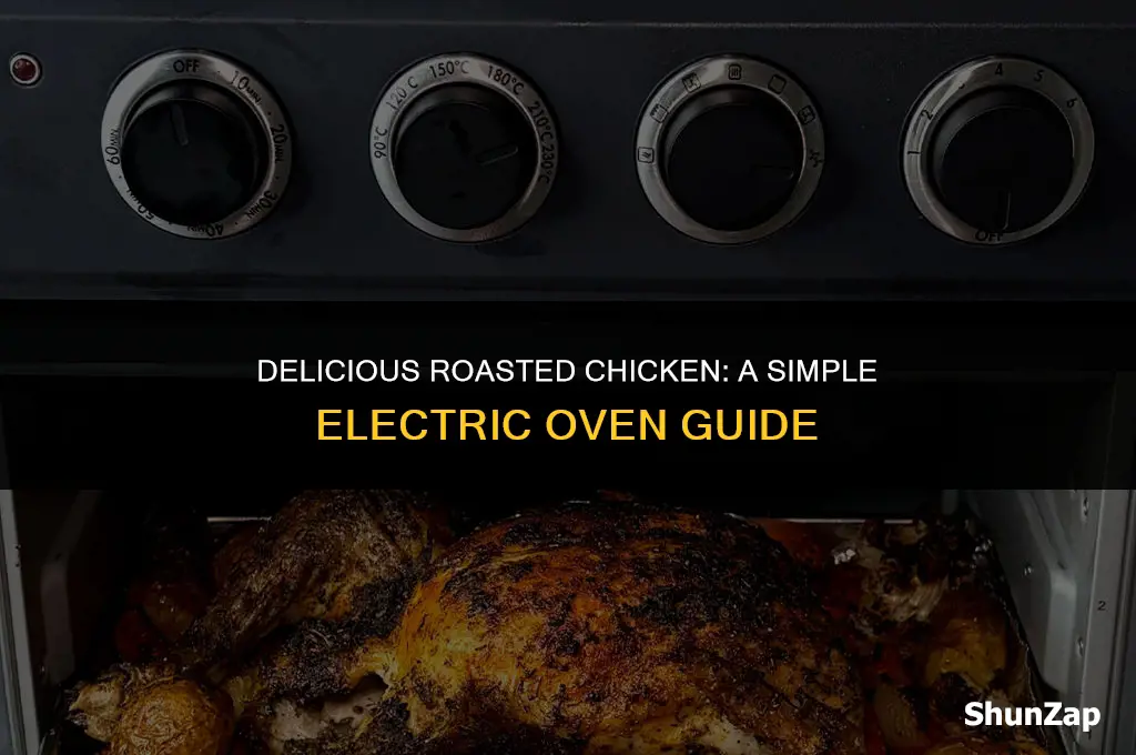 how to roast chicken using electric oven