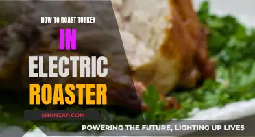 Roast Turkey, Electric-Style: A Simple, Tasty Guide