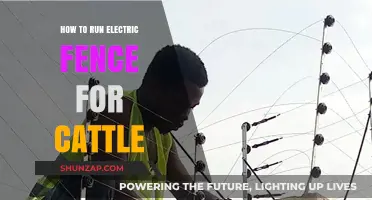 Electric Fencing for Cattle: A Guide to Installation and Maintenance