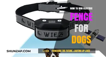 Electric Dog Fences: Installation and Maintenance Guide