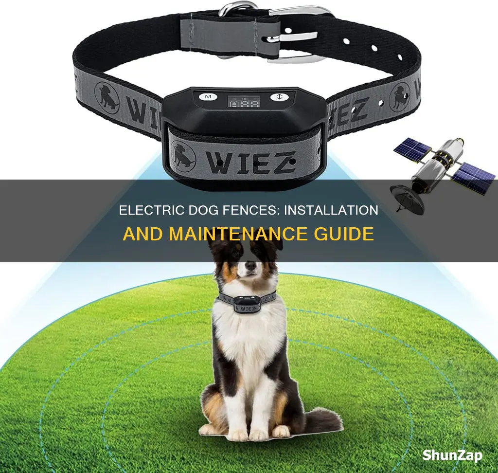 how to run electric fence for dogs
