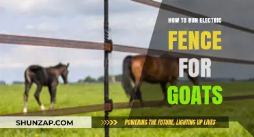 Goat-Proof Electric Fences: A Beginner's Guide
