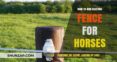 Electric Fence Setup for Horses: A Safe and Secure Guide