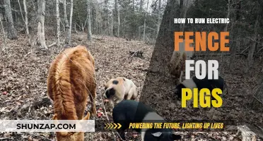 Electric Fencing for Pigs: A Guide to Keeping Your Herd Safe