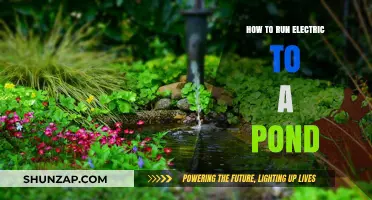 Electric Pond: DIY Guide to Electrifying Your Waterfront