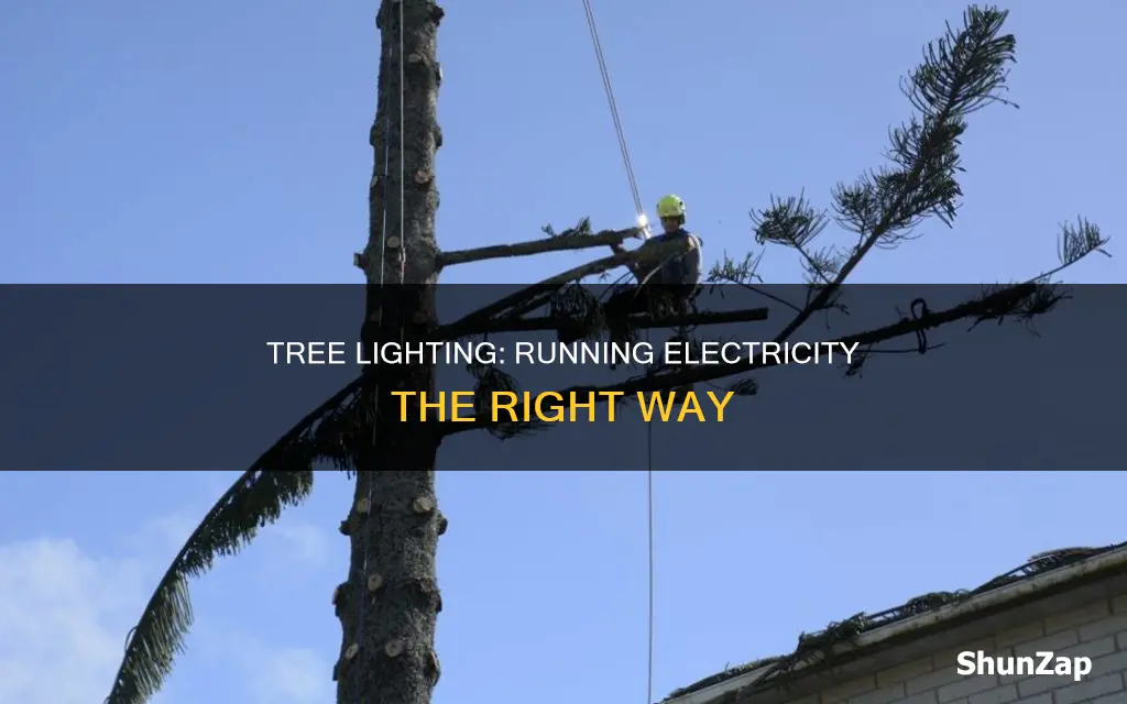 how to run electric up a tree