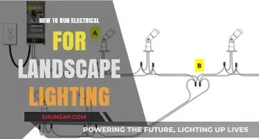 The Ultimate Guide to Landscape Lighting Electrical Setup