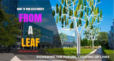 Powering Homes with Leaves: Nature's Electricity Source