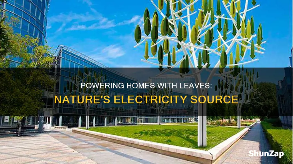 how to run electricity from a leaf