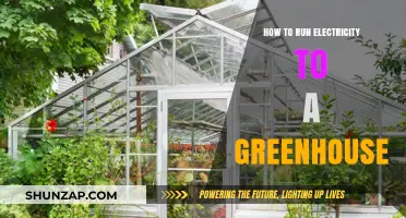Greenhouse Electrification: DIY Guide to Powering Your Garden