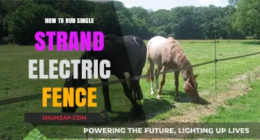 Setting Up a Single Strand Electric Fence: A Guide