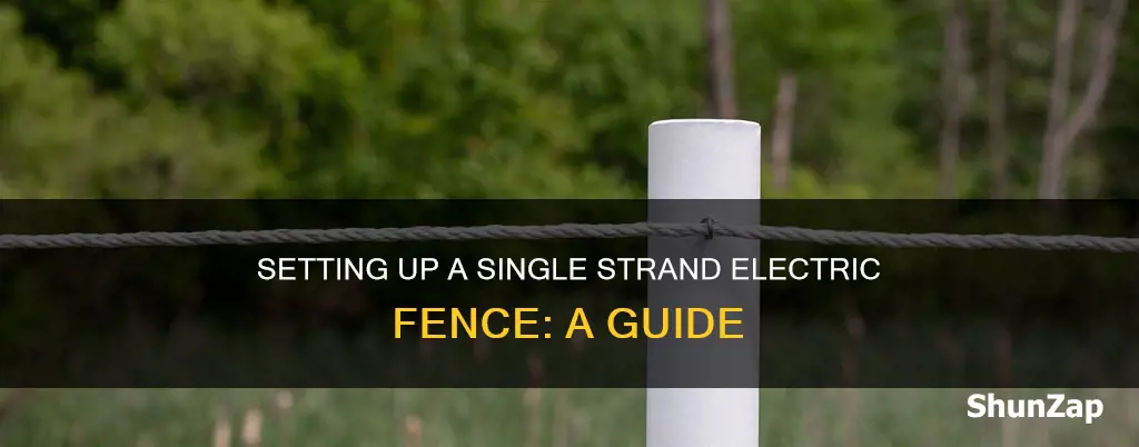 how to run single strand electric fence
