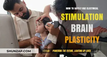 Exploring the Safe Use of Electrical Stimulation for Brain Plasticity