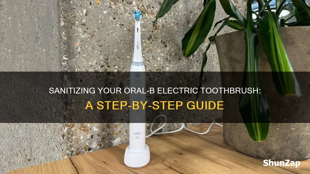 how to sanitize oral b electric toothbrush