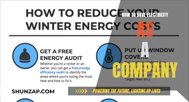 Strategies for Businesses to Conserve Electricity and Reduce Costs