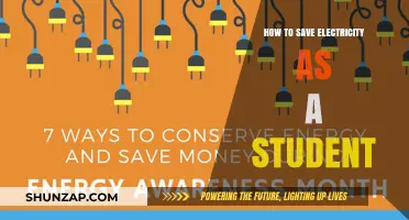 Student's Guide to Saving Electricity and Money