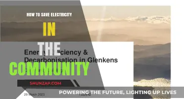 Smart Community Strategies to Conserve Electricity