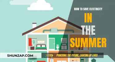 Conserving Summer Energy: Tips to Save Electricity