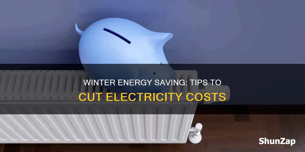 how to save electricity in the winter