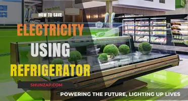 Eco-Friendly Refrigeration: Simple Tips to Slash Your Electricity Bills