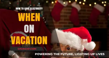 Save Electricity While on Vacation: Simple Tips