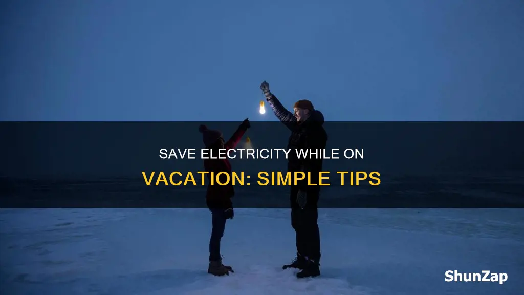 how to save electricity when on vacation